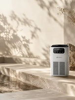 Airnest Aura Desktop Air Purifier for home— H13 HEPA, PM2.5 Display & Aromatherapy